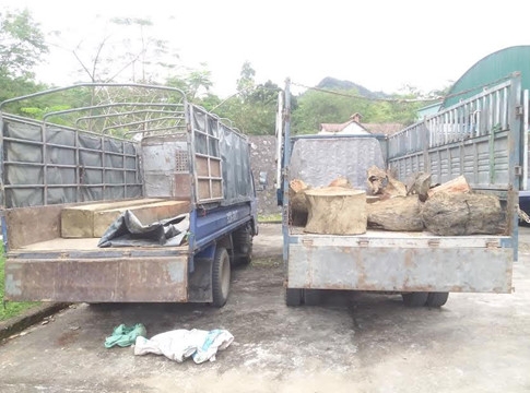 Quảng Nam: CSGT bắt giữ 2 xe tải vận chuyển gỗ lậu